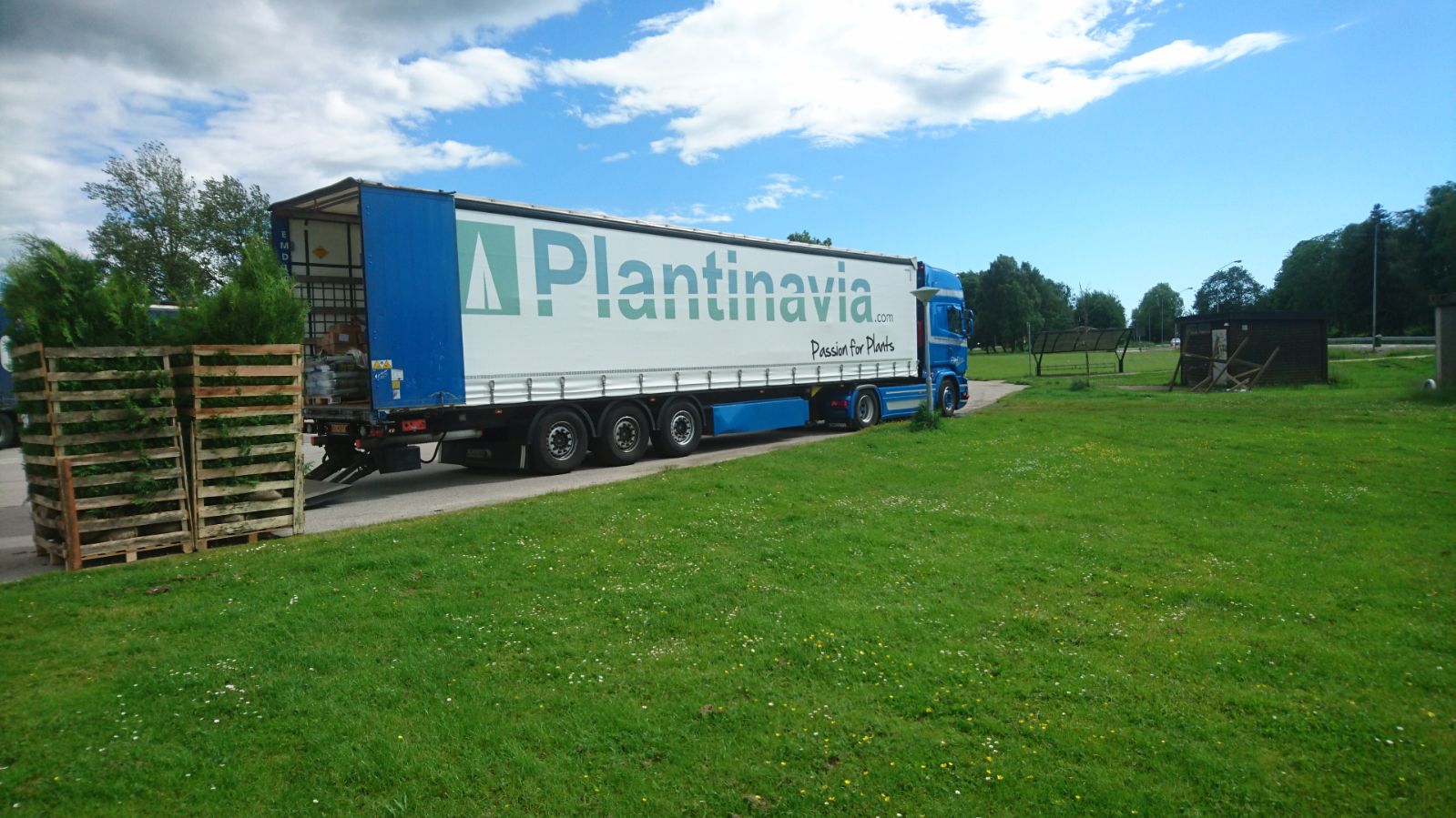 Plantinavia Lastbill